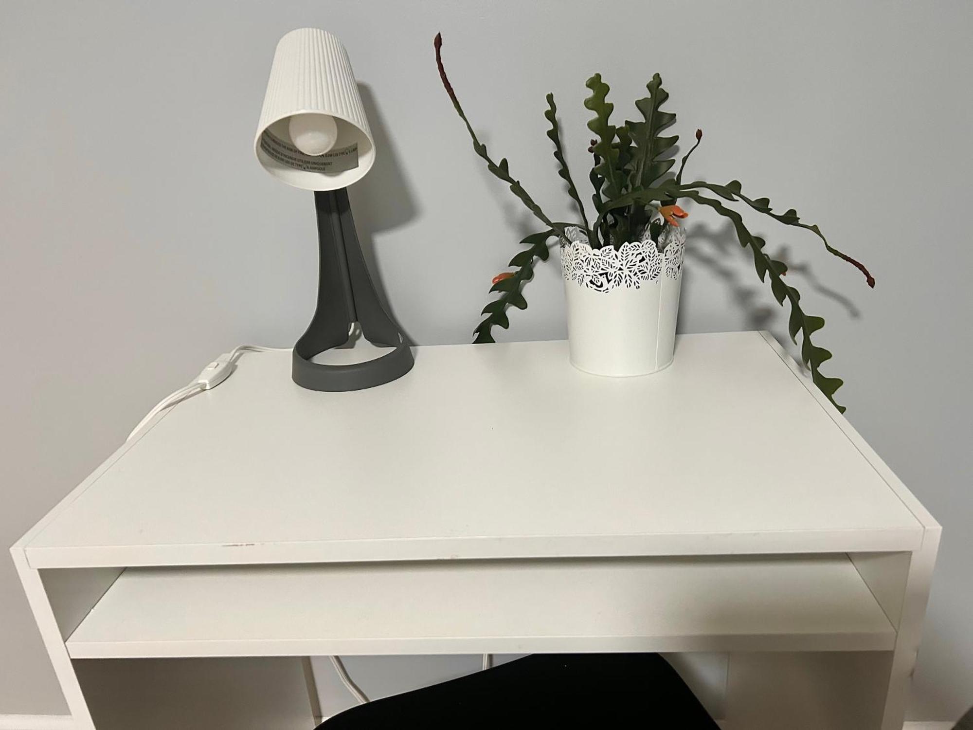 Comfy Lower Lvl Apt With Jetted Tub Near Uptown And Unc 샬럿 외부 사진
